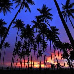 Meet your Posher, Faith